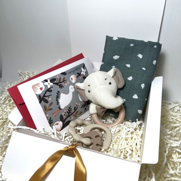 Paketek Dragulj - Telegram ob rojstvu